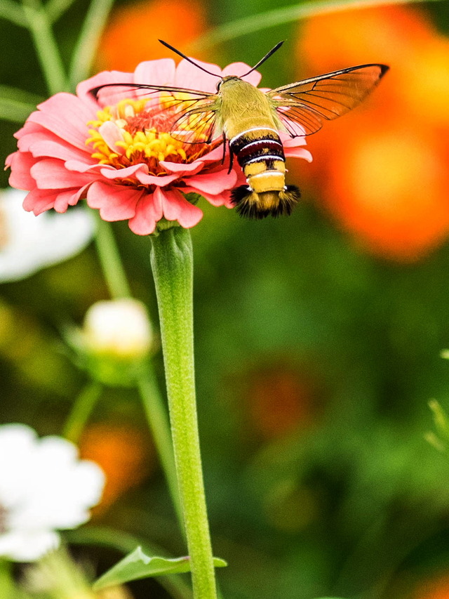 �����������ʎ�3