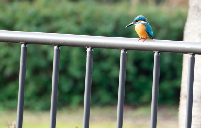 ���܎���17