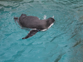 �̎ݎΎގَĎ͎ߎݎ��ގ�03