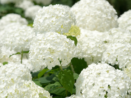 �����ގ���4