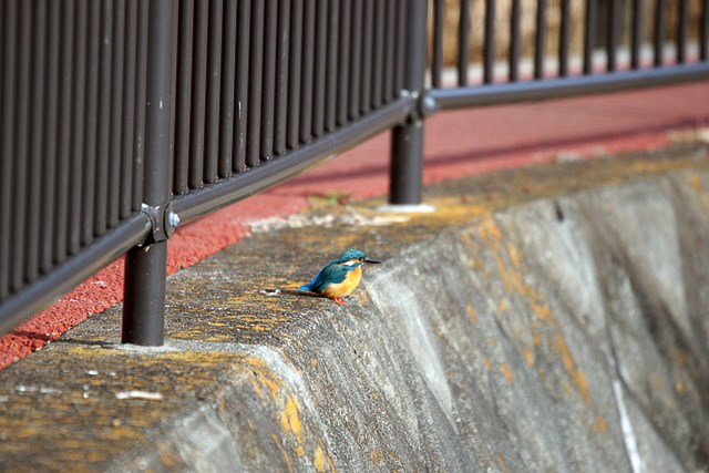 ���܎���7