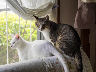 ���ͤ�����04