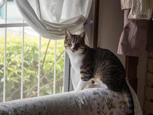 ���ͤ���12