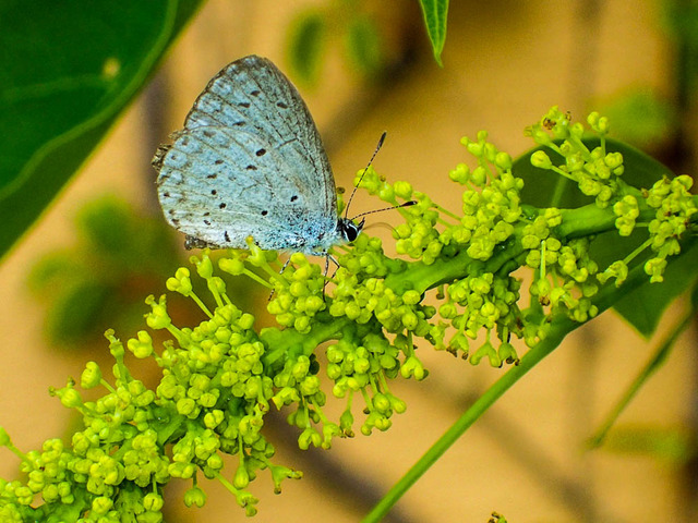 �َ؎����ގ�2