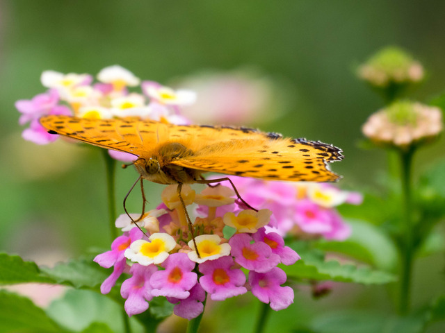 �ώ��ގێˎ����ӎ�4