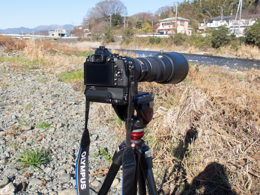 Prominar500mmf5 6での野鳥撮影 幸せの鳥を探して Prominar500mmf5 6での野鳥撮影 幸せの鳥を探して