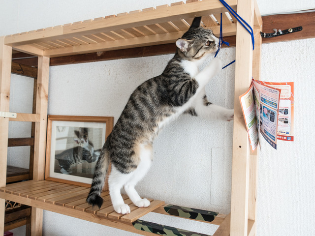 ���ͤ���06