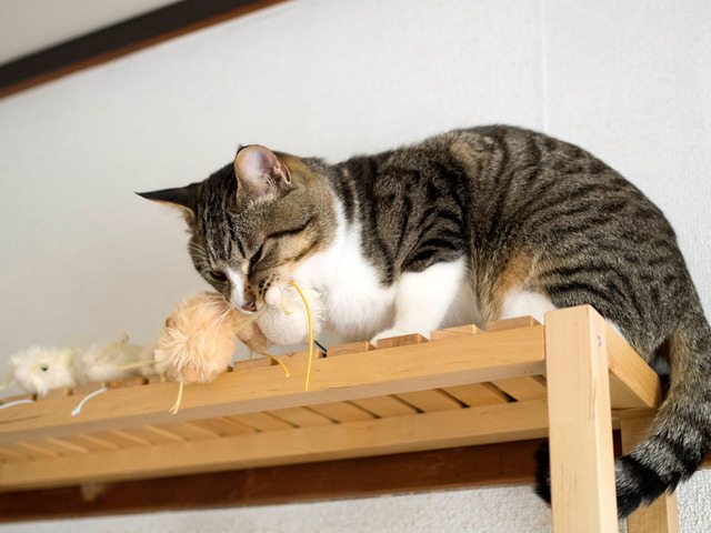 ���ͤ���02012