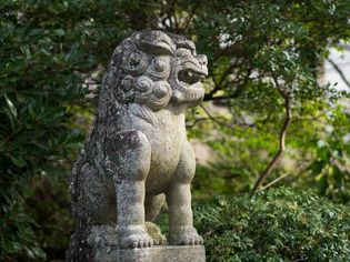 �������6