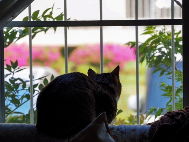 ���ͤ���02