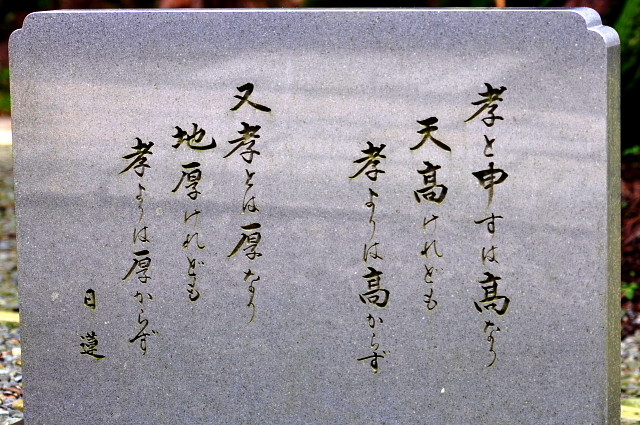 �ȱ仳7
