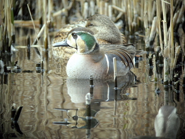 �ȥ⥨����4