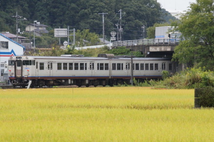 kibitu1