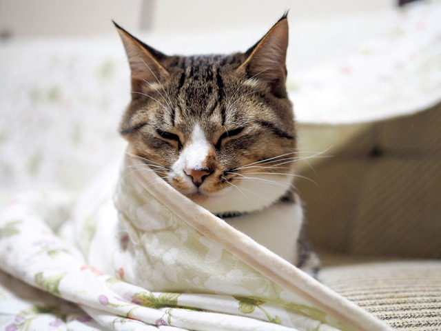 ���ͤ���9