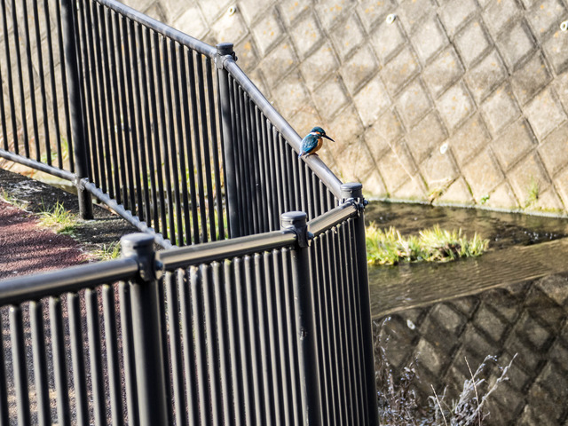 ���܎���28