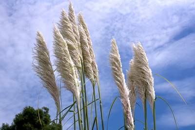 HA08
