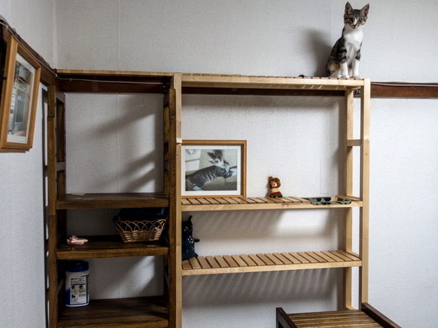 ���ͤ���04