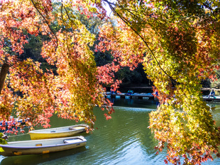 ������13