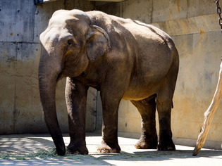 �����ގ����ގ�2