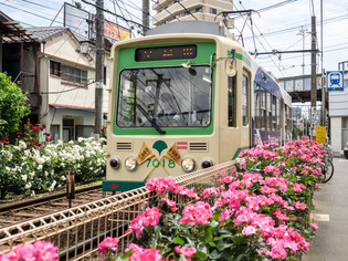 ���Ź�����11