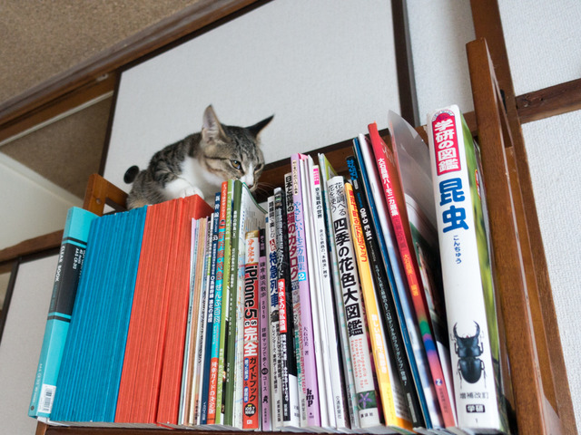 ���ͤ���03