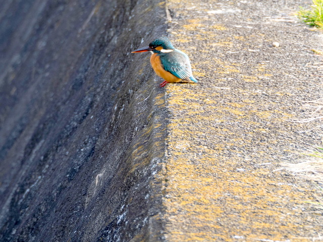 ���܎���13