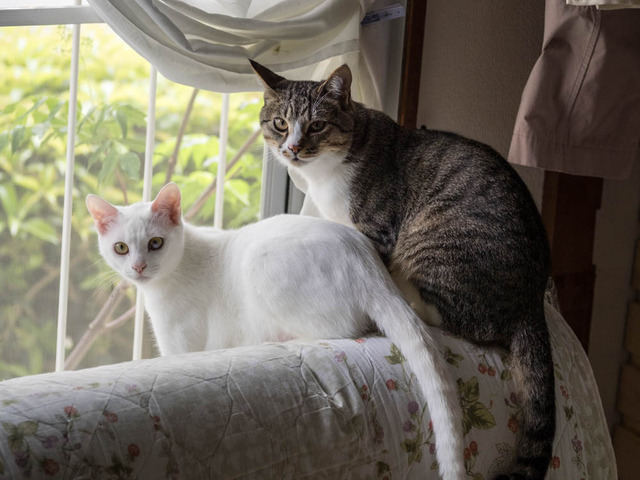 ���ͤ�����02