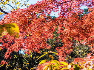 ������11