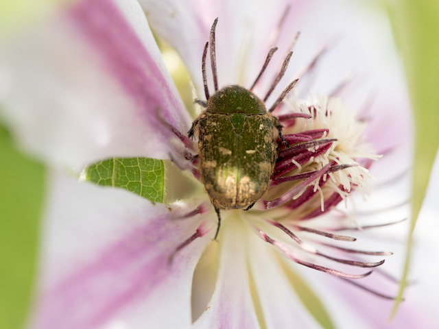 ���ڎώ���5