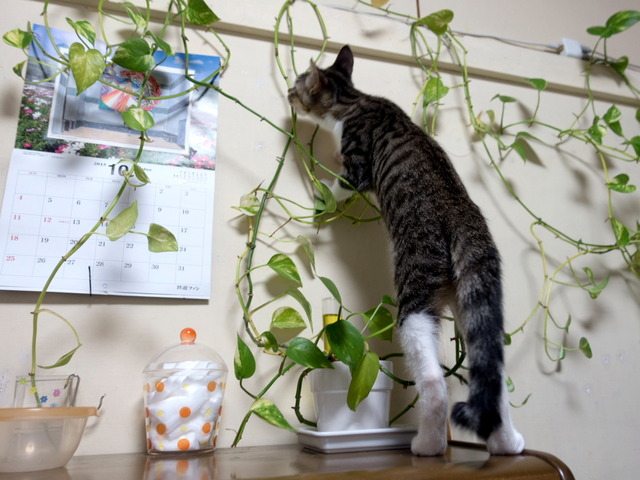 ���ͤ���03