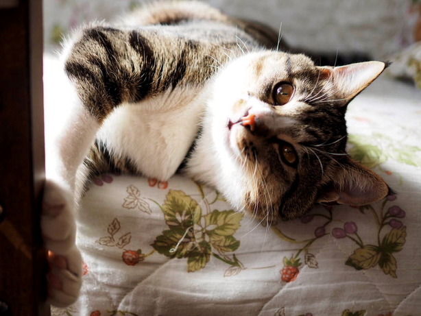 ���ͤ���03