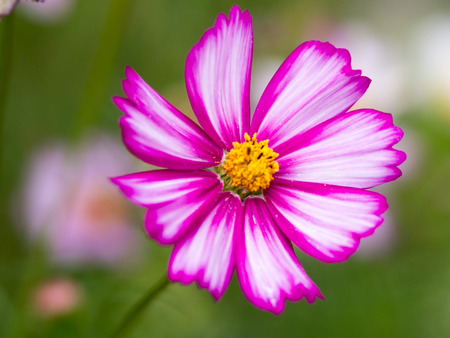 �����ӎ�6