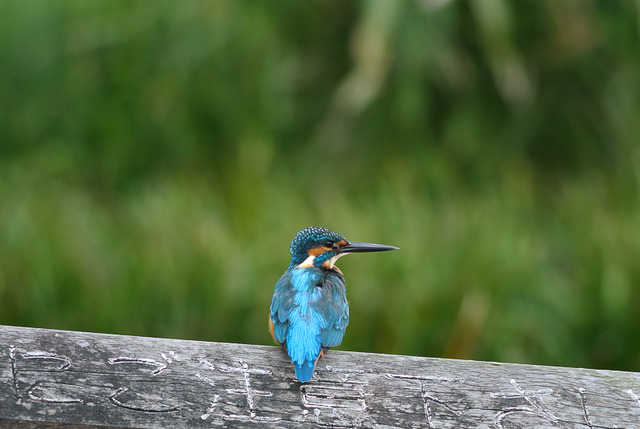 ���܎���22