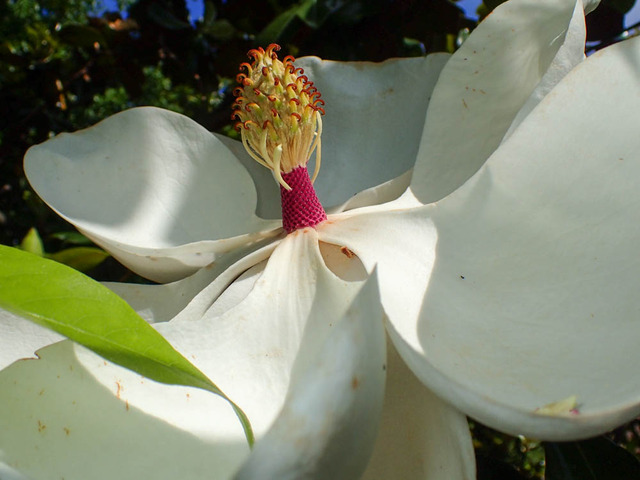 ��������ܥ�6