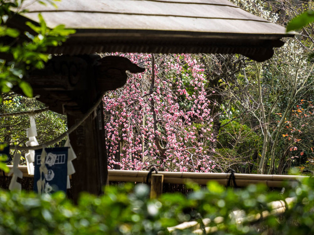 �������14