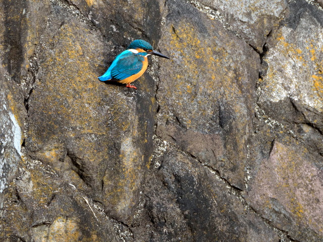 ���܎���4