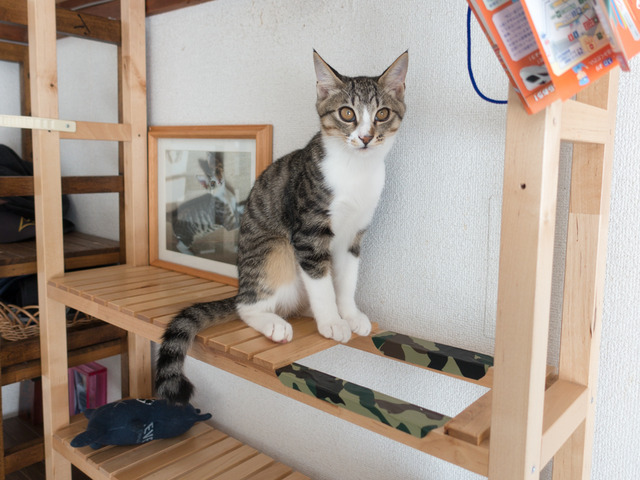 ���ͤ���05