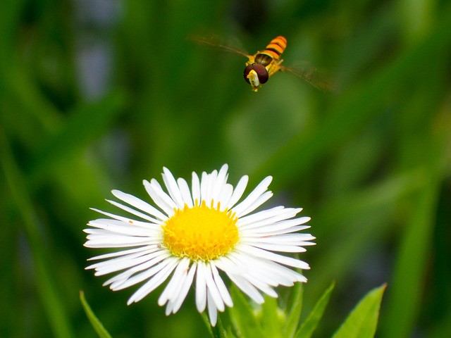 ���؎��ގێ�2