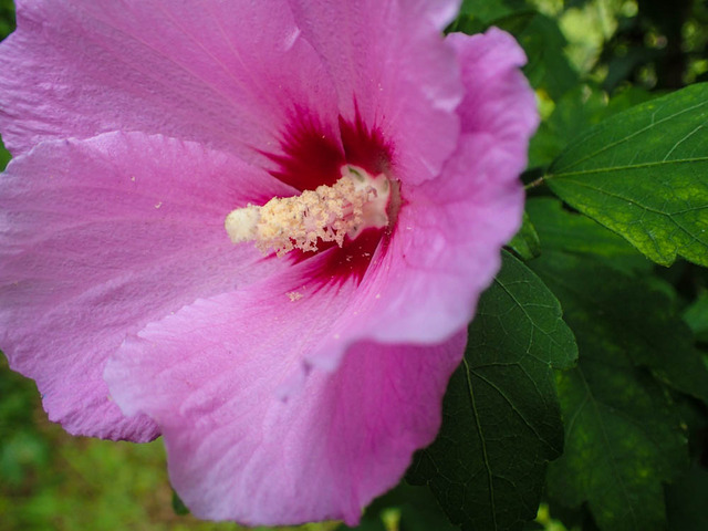 �ю�����1