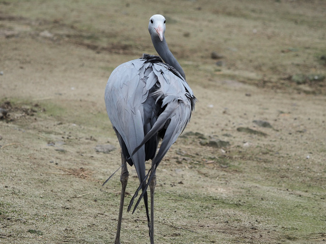 �ʎ��ގێӎގ�02