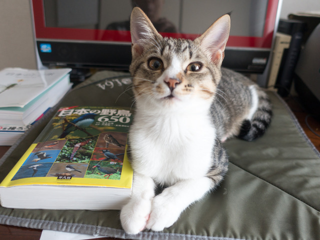 ���ͤ���09