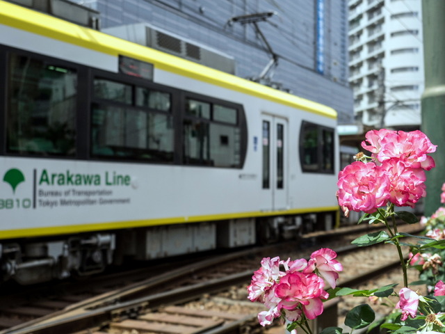 ���Ź�����17