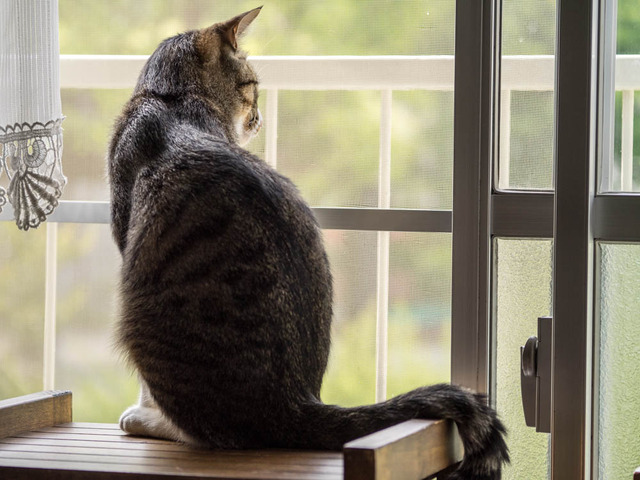 ���ͤ���07