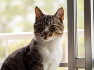 ���ͤ���02