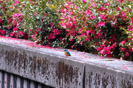 ���܎���