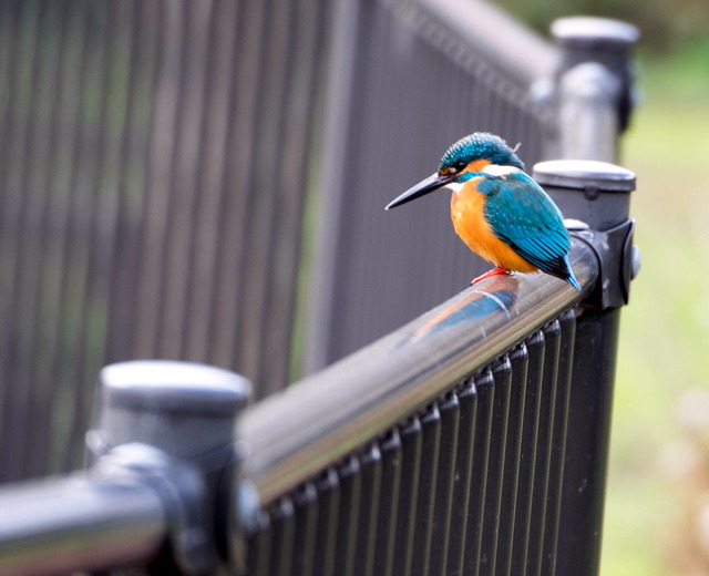 ���܎���12