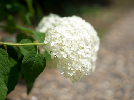 �����ގ���1