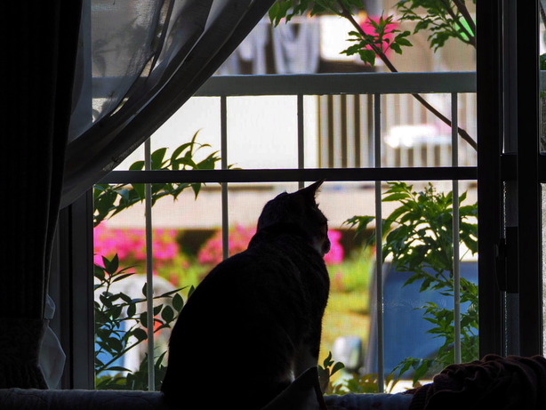 ���ͤ���01