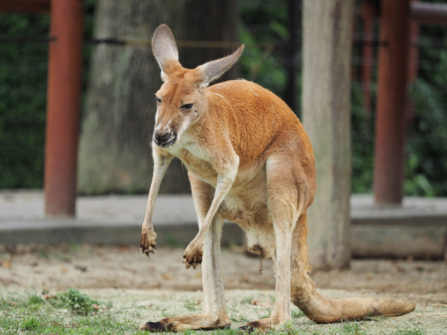 �������ݎ��ގَ�