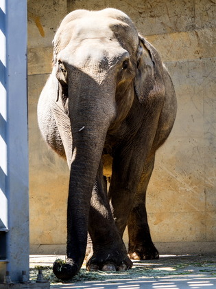 �����ގ����ގ�1